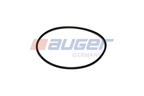 Dichtring, fuseelager