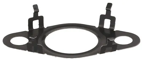 Dichtring, leiding EGR-klep