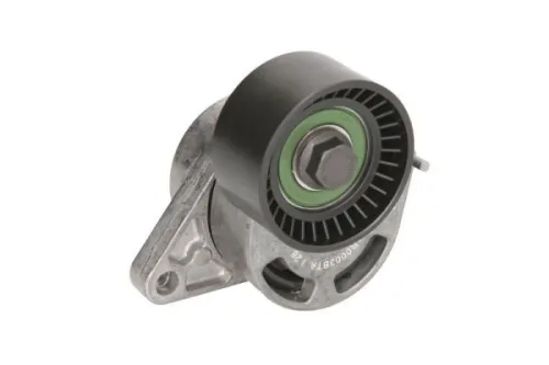 Spanner, Poly V-riem