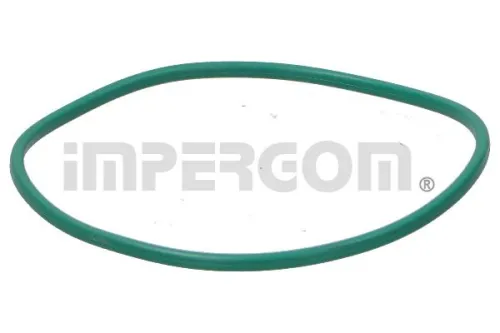 Pakking, brandstofpomp