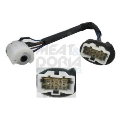 Ontstekings-/ startschakelaar