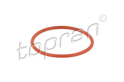 Afdichting, EGR-klep