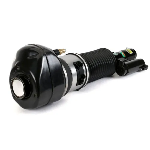 Pneumatische veerpoot