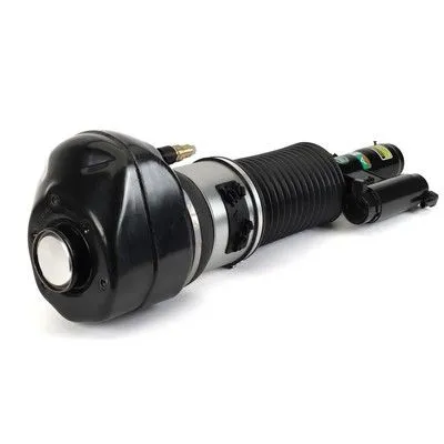 Pneumatische veerpoot