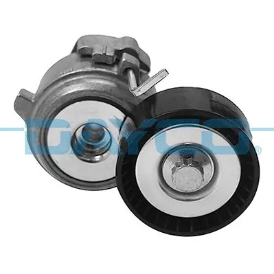 Riemspanner, Poly V-riem