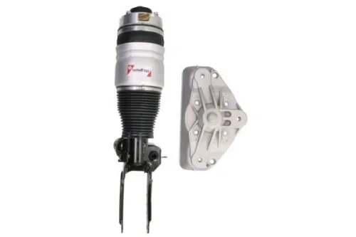 Pneumatische veerpoot