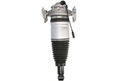 Pneumatische veerpoot