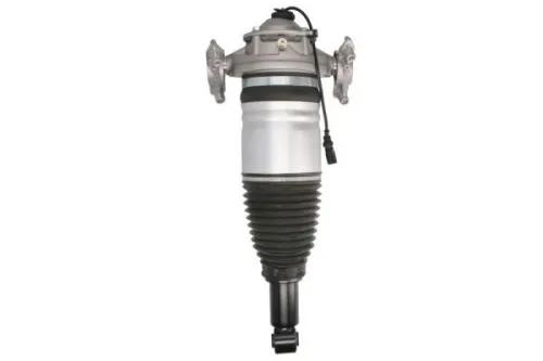 Pneumatische veerpoot