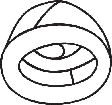 Houder, uitlaatsysteem